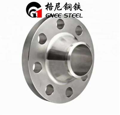 Inconel 690 Flansche